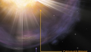 Artist’s interpretation (with labels) of the calcium-rich supernova 2019ehk. Shown in orange is the calcium-rich material created in the explosion. Purple coloring represents gas shedded by the star right before the explosion, which then produced bright X-ray emission when the material collided with the supernova shockwave. 

Credit: Aaron M. Geller, Northwestern University