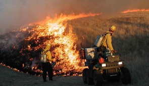 Trained firefighters light a burn break. Credit: The Nature Conservancy