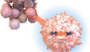 The Choi and Roybal labs have jointly engineered a novel therapy for solid tumors. It borrows a superpower from T cell cancers to make T cell therapies strong enough to fight skin, lung and stomach cancers. (Credit: Moonlight)