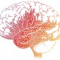 A red, pink and orange outline of a brain is filled in with letters of the alphabet. 