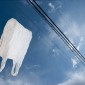 a plastic bag stuck on a fence