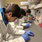 Students in lab