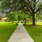 college campus