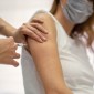 vaccine