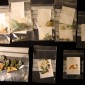fragments of trade goods