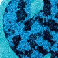 Cell under a microscrope