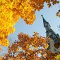 campus