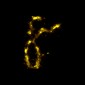 An image of a chromosome