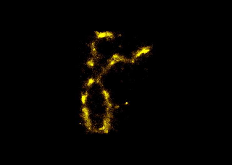 An image of a chromosome