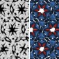 The image is divided in half, with the left side showing a black and white nanoparticle pattern and the right side showing a blue, red, white and black pattern