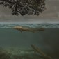 A fish-looking creature in a body of water looks up at vegetation.