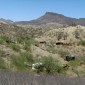 A still image of the Sonoran Desert. Photo courtesy of J.P. Sniadecki and Joshua Bonnetta.