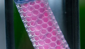 A prototype of the drug-producing implant, which is smaller than an adult’s finger. The implant will be able to  continuously monitor a patient’s cancer and adjust their immunotherapy dose in real time. Credit: Brandon Martin/Rice University