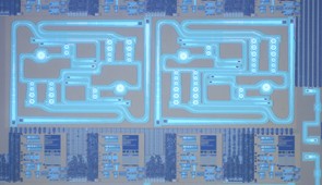 A close-up image of the chip.