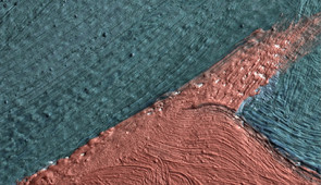 5 centimeter macro detail. An up-close look at a detailed section of "Pedernal" shows micron-sized protrusions from metal soaps.