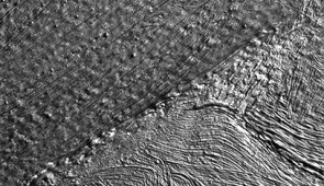 5 centimeter RTI specular enhancement image. A detailed section of "Pedernal" with the color removed allows researchers to identify metal soaps among the painting’s other surface shapes from brush strokes and canvas texture.
