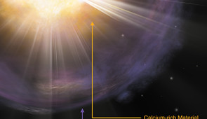Artist’s interpretation (with labels) of the calcium-rich supernova 2019ehk. Shown in orange is the calcium-rich material created in the explosion. Purple coloring represents gas shedded by the star right before the explosion, which then produced bright X-ray emission when the material collided with the supernova shockwave. 

Credit: Aaron M. Geller, Northwestern University