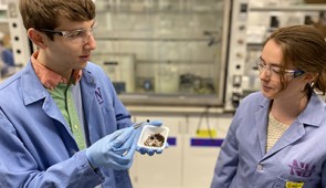 Ph.D. student Benjamin Shindel and undergraduate Caroline Harms examine a sample of the nanoparticle-coated sponge.
