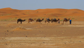 Erg Chebbi dunes. Photograph by Cynthia Becker, 2010