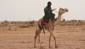 A man rides his camel to market in the Agadez region of central Niger. Photograph by Cynthia Becker, 2009