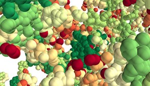 A 3D forest of chromatin predicted by the researchers’ model. Tree domains are colored from red to green according to their sizes. Each particle represents 2 kilobases of DNA.