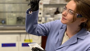 Undergraduate Caroline Harms examines a sample of the nanoparticle-coated sponge.