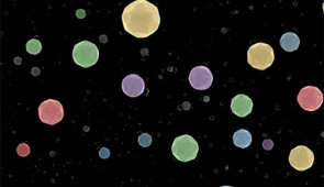 multiple high-index-facet high-entropy alloy nanoparticles 