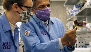 Professor Vinayak Dravid and his student look at a sample of the nanoparticle-coated sponge.