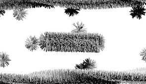This animation shows the hypothesized process of the smaller peptide assemblies forming larger nanofibers once they cross the blood-brain barrier. This phenomenon could produce a more potent therapeutic effect. (Animation by Mark Seniw/Northwestern University)