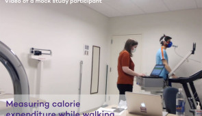 A mock study participant shows how the researchers measured calorie expenditure during the study.