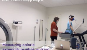 A mock study participant shows how the researchers measured calorie expenditure during the study.
