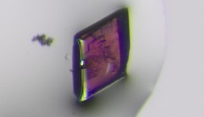 Optical microscope image of a representative crystal that possesses centrosymmetry, yet shows differential absorption of circularly polarized light. The crystal is made of lithium, cobalt, selenium and oxygen, with the cobalt giving rise to the crystal's purple color. Credit: Kendall Kamp/Northwestern University