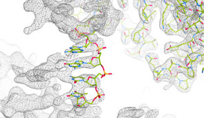 dna bond between proteins