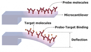 Microcantilever technology for SARS-CoV-2 virus detection