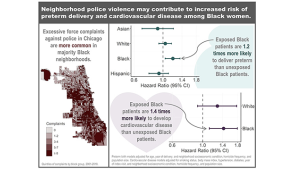 Chicago map with spatial distribution of complaints about excessive use of force;
Models showing increased preterm birth and cardiovascular disease risks for Black women.
