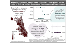 Chicago map with spatial distribution of complaints about excessive use of force;
Models showing increased preterm birth and cardiovascular disease risks for Black women.
