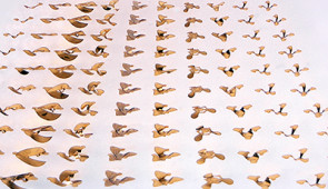 An array of 3D microfliers