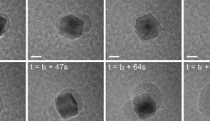 Nucleation, growth and coalescence of water bubbles at the surface of palladium nanocubes. Viewed with a transmission electron microscope; scale bar equals 10 nanometers.