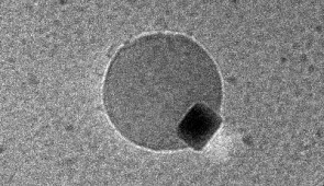 Water bubble emerging from a palladium nanocube. Viewed with a transmission electron microscope; scale bar equales 50 nanometers.