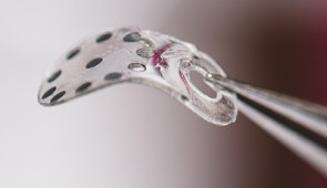 Close-up photo of the sticker shows its flexibility
