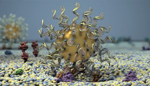 Animation of a spherical nucleic acid (SNA) and how it can cross the blood-brain barrier in a patient with glioblastoma. Credit: Northwestern University