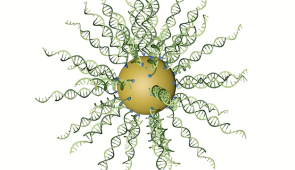 Animation of a rotating spherical nucleic acid (SNA). Credit: Northwestern University
