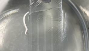 Graphene tattoo floating in solution