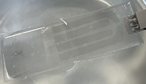 Graphene heart tattoo in solution