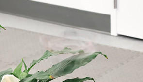 Low-visibility drone flying next to plant