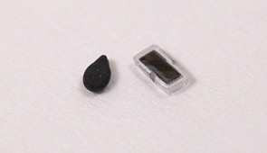 Pacemaker next to a single apple seed for scale.