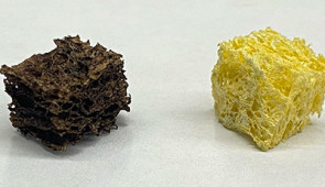 Sponge coated with nanoparticles (left) next to an uncoated cellulose sponge