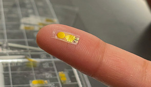 Smaller than a pinky fingernail and as thin as a single hair, this soft sensor sits on a transplanted kidney can detect organ rejection up to three weeks sooner than current monitoring methods. By giving physicians more time to intervene, the device potentially could improve patient wellbeing and preserve donated organs, which are in high demand but short supply.