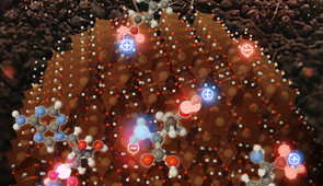 Non-uniform distribution of charges on the surface of iron oxides attracts diverse types of organic compounds through mechanisms with different binding energies. Credit: Ludmilla Aristilde