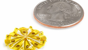 Full device next to a quarter for scale.